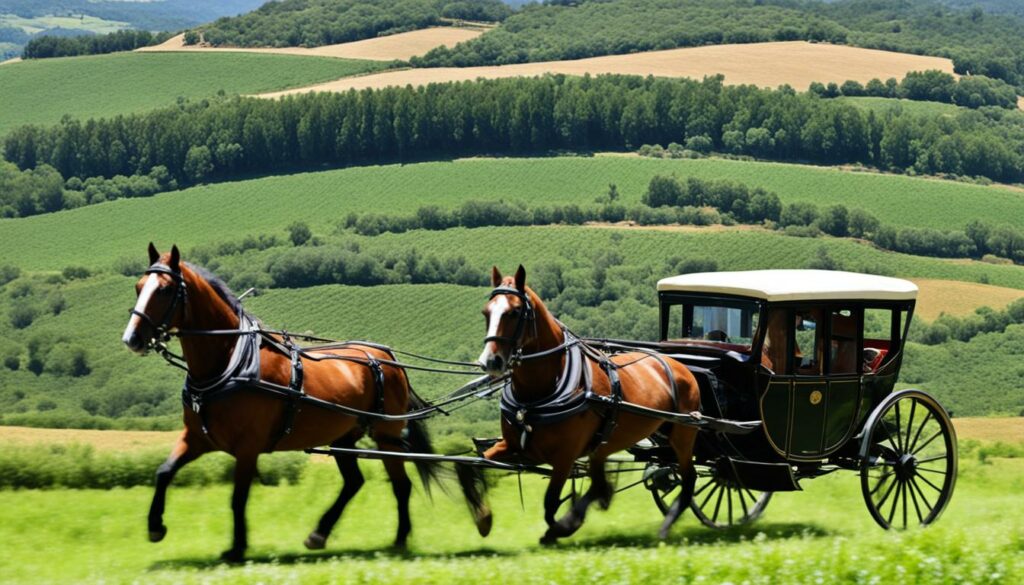 kutsche-naturpark-maremma